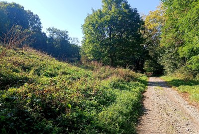 Pozemok 1538m2  v  Maďarsku 10min od Kechneca
